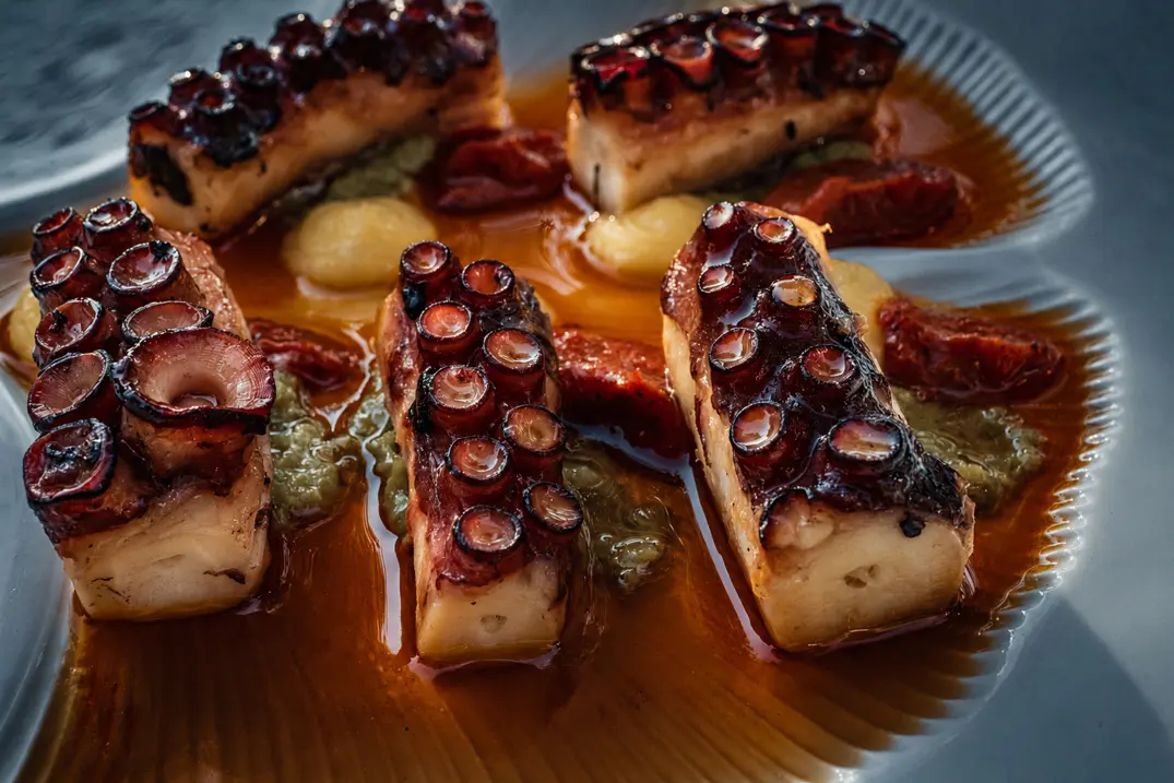 Grilled octopus with sauce on a ceramic plate